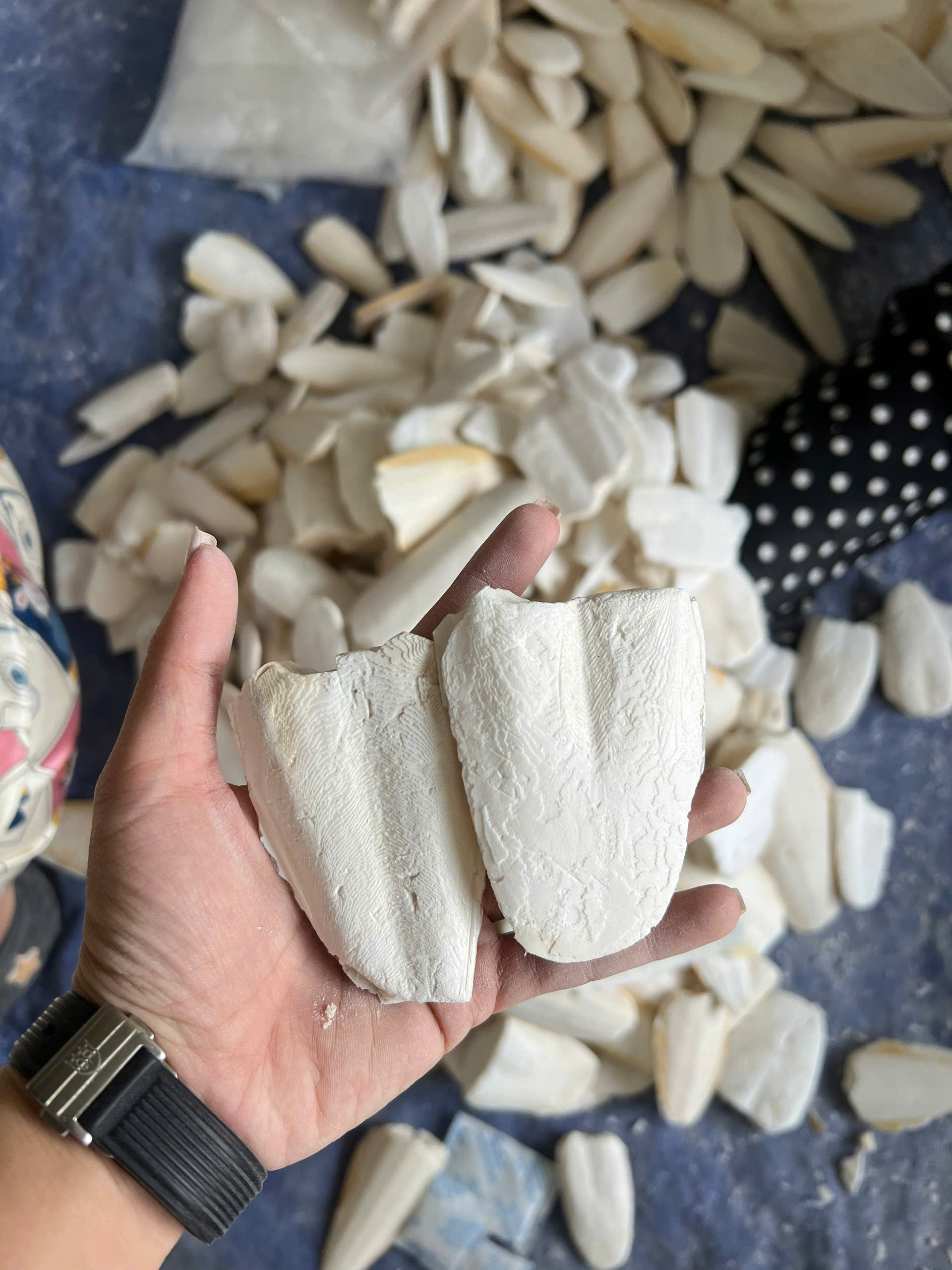nang cắt khúc 1