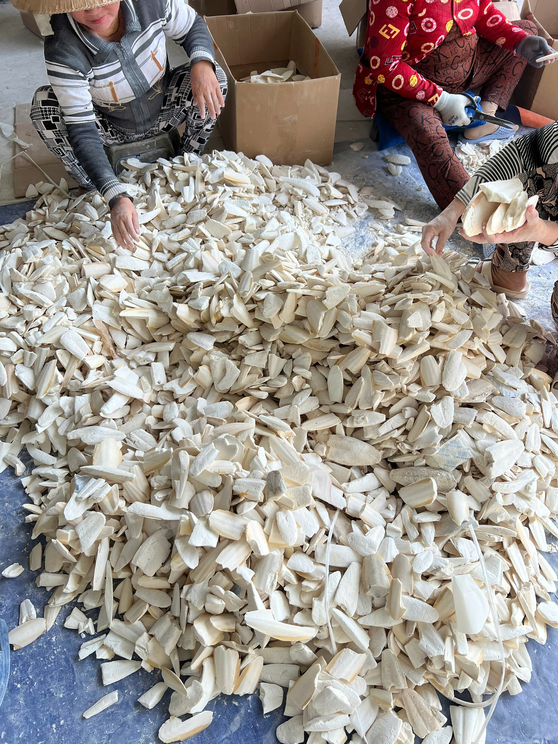 nang cắt khúc4